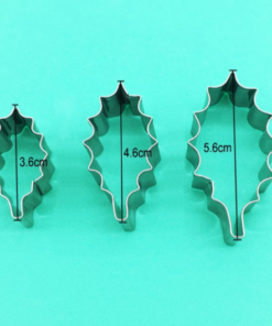 Alternative view of Hulstblad uitsteker