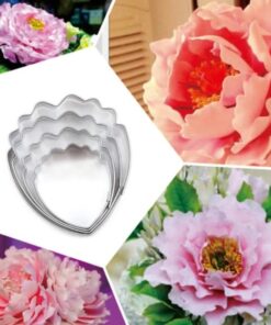 Alternative view of Pioenrozen Uitsteker