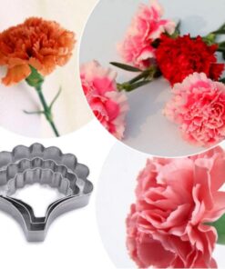 Alternative view of Anjer Koekjes Uitsteker