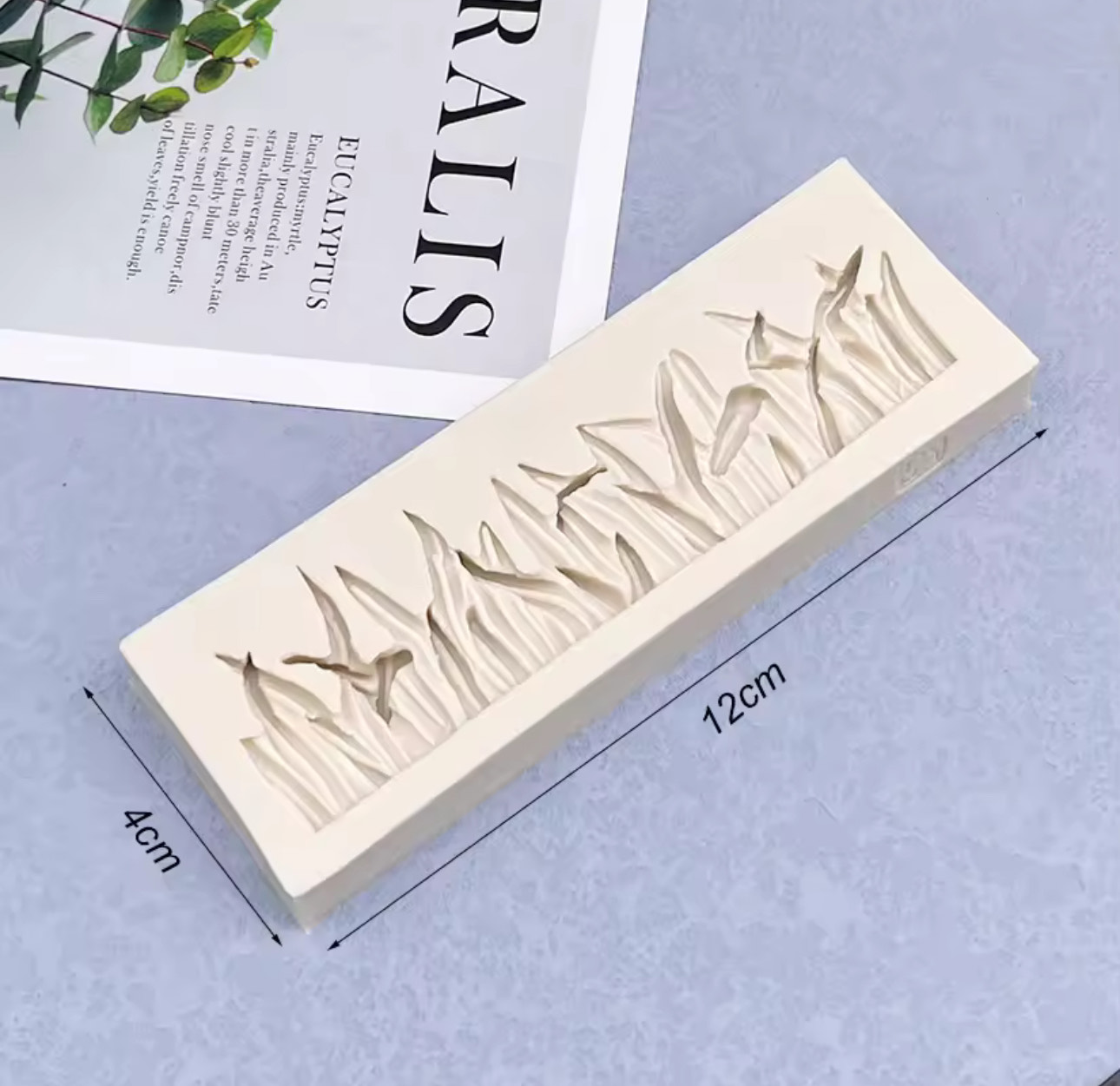 Gras Mould - Afbeelding 3