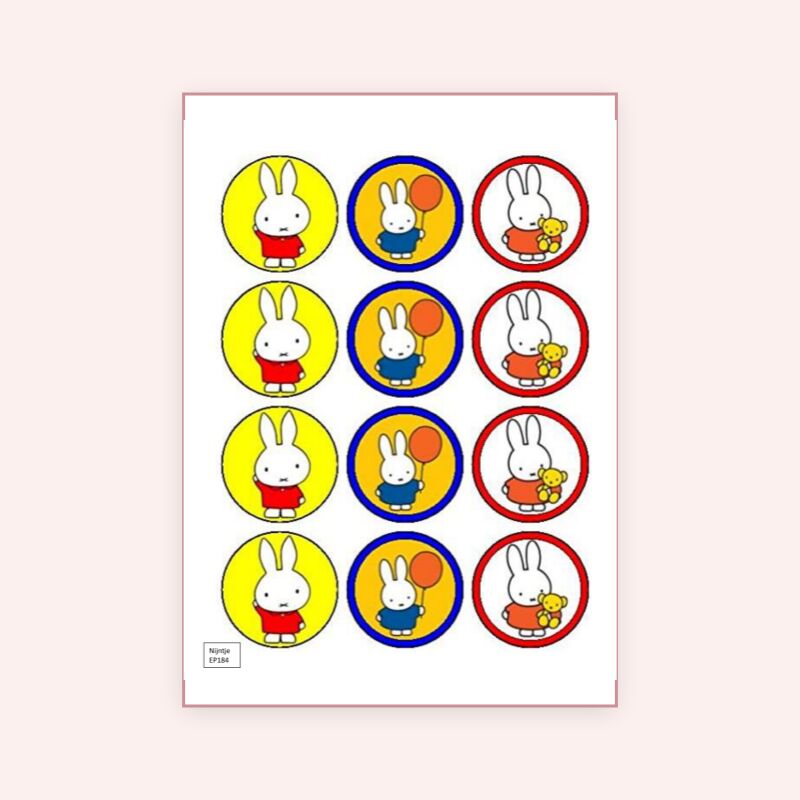 Eetbare print Nijntje Cupcake mini