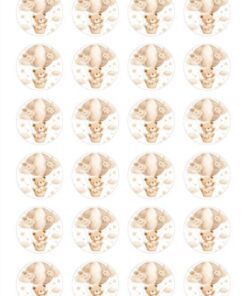 Eetbare print Teddy Bear rond 24 stuks (ca. 4cm)