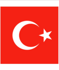 Eetbare print Turkse Vlag vierkant 1 stuk (ca. 20cm)