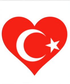Eetbare print Turkse Vlag hart 1 stuk (ca. 20cm)