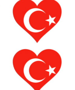 Eetbare print Turkse Vlag hart 2 stuks (ca. 13,5cm)