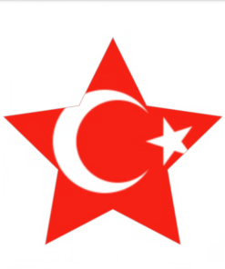 Eetbare print Turkse Vlag ster 1 stuk (ca. 20cm)